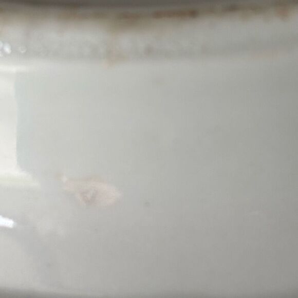 Jackson China B.P.O.E. 349 Elks Lodge DuBois Pa Sectional 10 1/2”  Plate - Picture 8 of 9